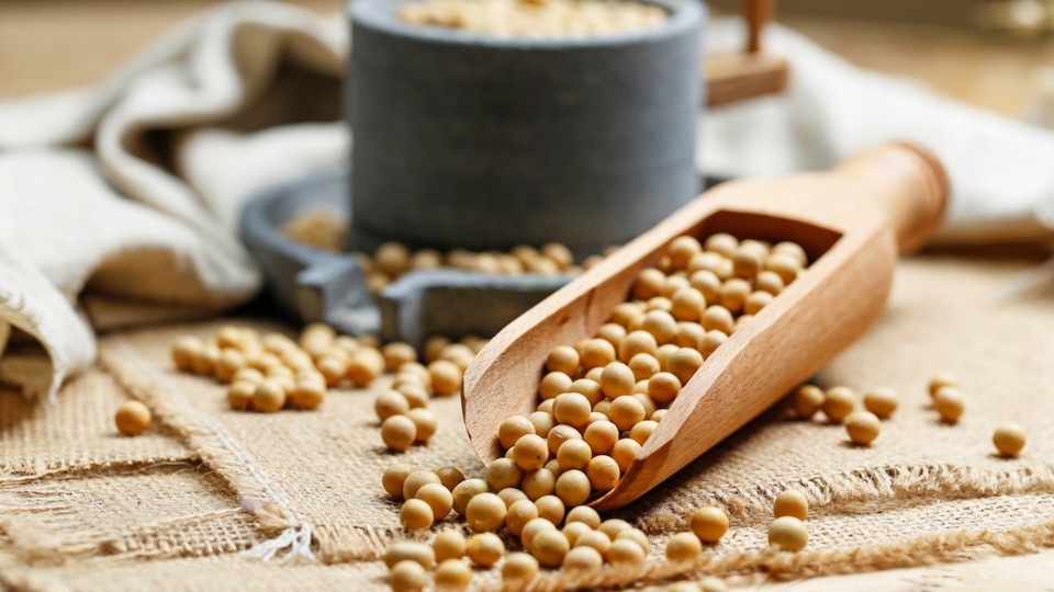 Le soya affectetil la testostérone et d’autres hormones